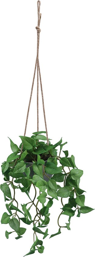 Kunst Hangplant Anthurium Blad – Realistische Groene Slinger