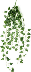 24 stuks*2 meter Klimop Slinger - Backdrop Decoratie Plant voor Huis en Tuin-Kunst Hangplant- Scindapsus Pictus-Drakenklimop Kunstplanten voor Binnen en Buiten
