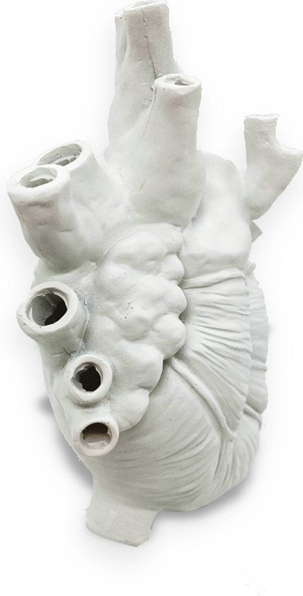hartvormige bloemenvaas van hars - Elegante Stijl - Perfect voor Elke Gelegenheid-Wit 18*10*24cm