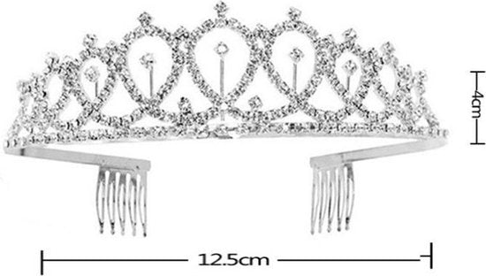 TDR - Verjaardag Sjerp en Tiara - Met text "Birthday Queen" - Zilver