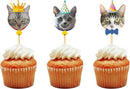 Katten cupcake prikkers - 48-delige set voor cake, fruit en desserts