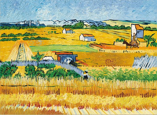 Vincent van Gogh De Oogst Wandposter 150x130CM