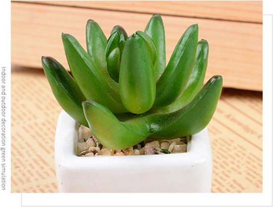 TDR -  6x kunst vetplantjes - Succulenten - Mini kamerplanten - in mooie gevormde witte keramieken potjes - ↑8 cm -Ø 6.6 cm
