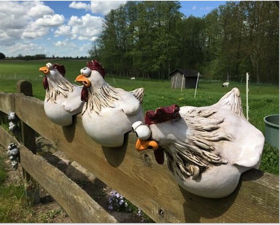 3-delige tuindecoratie kippen-Creëer een levendige sfeer in je tuin - Duurzaam, Levendig en Veelzijdig 12*12*14CM