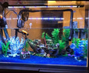 Unikorf Piratenavontuur Aquarium Decoratie 25*9*18.5cm