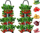 ProductAsset