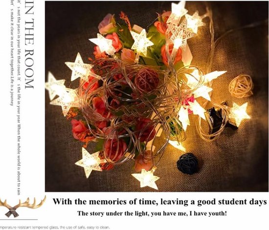 Xtraworks LED ster lichtsnoer USB 5m 30 lampjes warmwit