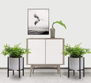 ProductAsset