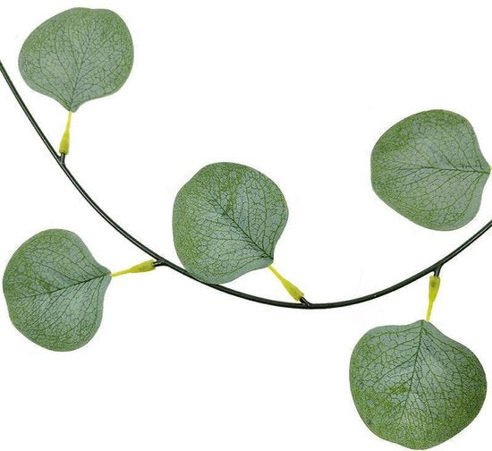 ProductAsset