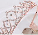 TDR - Verjaardag Sjerp en Tiara - Met text "Birthday  Girl "  rose goud