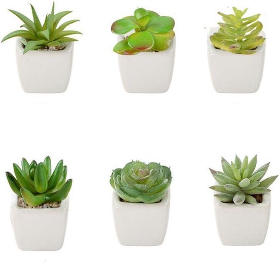 TDR -  6x kunst vetplantjes - Succulenten - Mini kamerplanten - in mooie gevormde witte keramieken potjes - ↑8 cm -Ø 6.6 cm