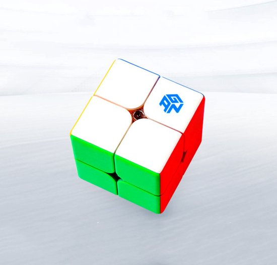 GAN 249 V2 2x2 Speed Cube - Stickerless Mini Kubus