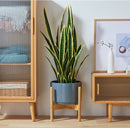 ProductAsset