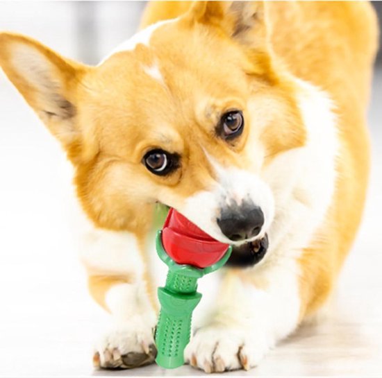 Bijtspeelgoed voor Honden - Goed voor tanden - Niet giftig en duurzaam TPE -vorm van een Roos