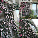 2 Stuks Klimop Slinger-Simulatie rose vine paars