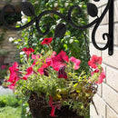 Metalen Wandhangers voor Bloempotten – Sierlijk Bladontwerp