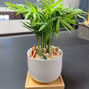 ProductAsset