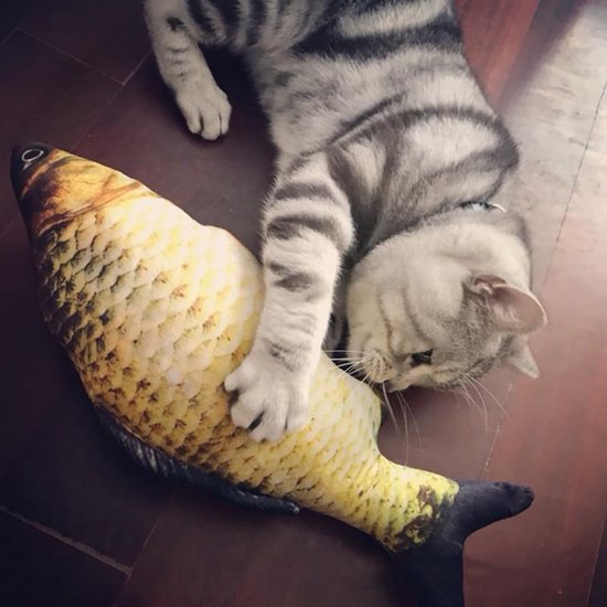 TDR - kattensnack visspeelgoed voor katten-4stuks Vis Speelgoed