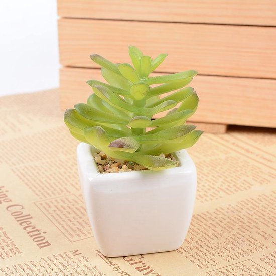 6x Kunstvetplantjes in Witte Keramieken Potjes - 8 cm