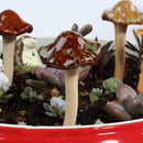 Unikorf Keramische paddenstoelen Set4 Geel/Rood/Groen/Blauw