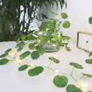 Xtraworks-led lamp op zonne solar light string eucalyptus wijnstok 2 meter 20 lichten