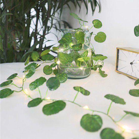 Xtraworks-led lamp op zonne solar light string eucalyptus wijnstok 2 meter 20 lichten