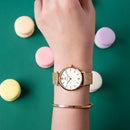 REITSMAN Rijn Rosegoud /  Wit  -  W00.2908RGME -  Horloge - Rosegoud - Mesh - Ø32mm