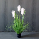 Unikorf Kunstplant Pampasgras 90cm - Wit & Onderhoudsvrij