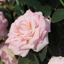 2 Stuks Klimop Slinger -simulatie rose vine roze