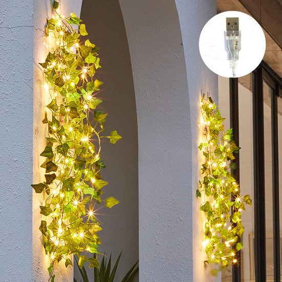 Xtraworks LED lichtsnoer esdoornblad USB 2m 20 lampjes