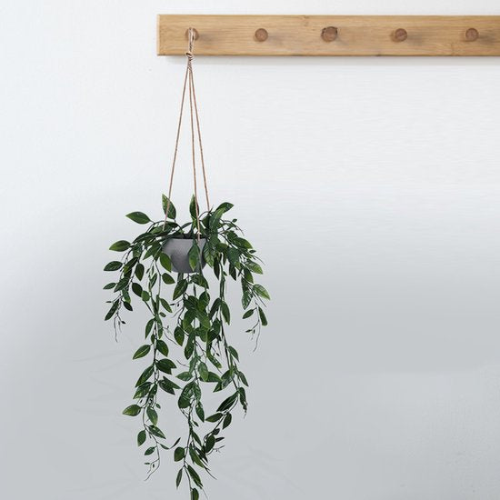 ProductAsset