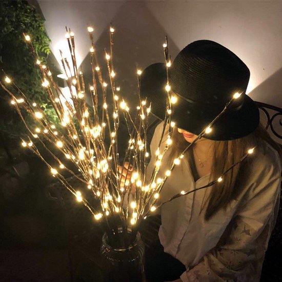 Elegante Wilgentaklamp met USB - 70 cm - 60 Warm Witte LED's