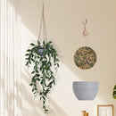 Gesimuleerde groene plant- groene erwtenpod