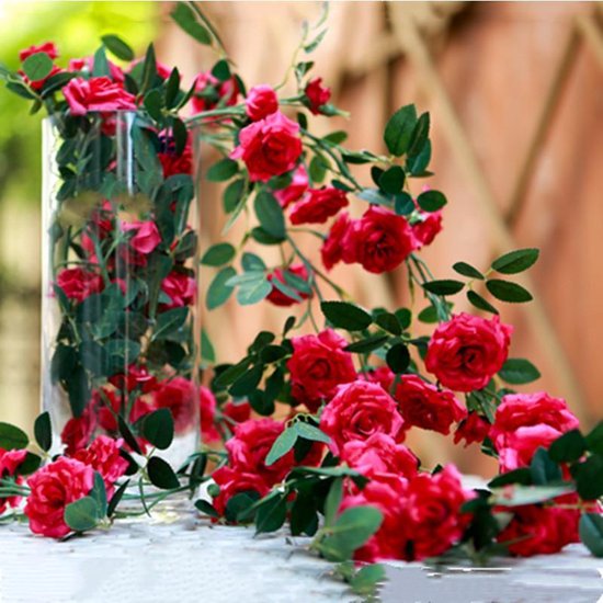 2 Stuks Klimop Slinger - Scharlaken Wijnstokken