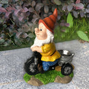 Natuurlijke Vreugde Kabouter op Driewieler Vogelvoederplek