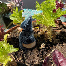 Ondeugende tuinkabouter - Tuindecoratie 6x5x12cm