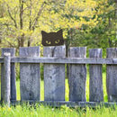 Unikorf 2-delige IJzeren Kattenspion Tuindecoratie Zwart