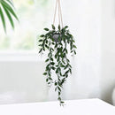 Gesimuleerde groene plant- groene erwtenpod