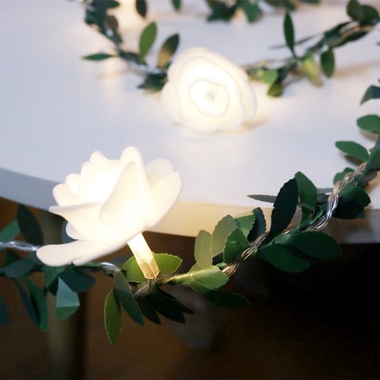 LED lichtsnoer rozen met warm wit licht 3m 20 lampjes