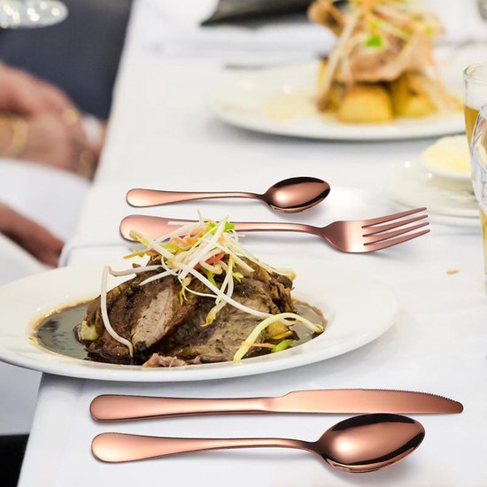 TDR-roestvrij staal 24-delige Rosegoudkleurig bestekset hoog