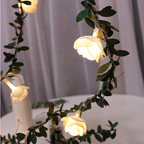 LED lichtsnoer rozen met warm wit licht 3m 20 lampjes