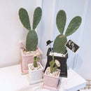 ProductAsset