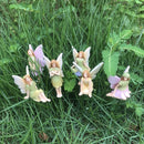 6-delige bloemenfeeën tuinstekerset voor tuin & pot