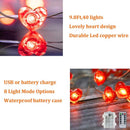 Unikorf Valentijns Rood Hart Fairy Lights 2m