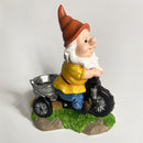 Natuurlijke Vreugde Kabouter op Driewieler Vogelvoederplek