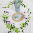 ProductAsset