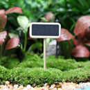 50 stuks Charmant Krijtbord met Paaltje voor Tuin en Horeca-zwart-4x2.2x6.3cm