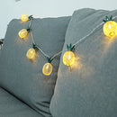 Xtraworks Lichtslinger Ananas 1,5m 10 LED op Batterij