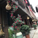 2 Stuks Klimop Slinger-Simulatie rose vine paars