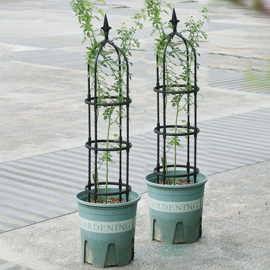 ProductAsset